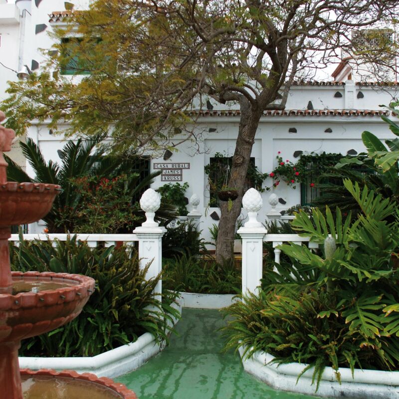 Eingang zu Krüss' Haus auf Gran Canaria: Palmen
